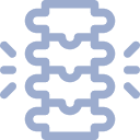 Stylized icon of a human spine with nerve roots extending from the sides.
